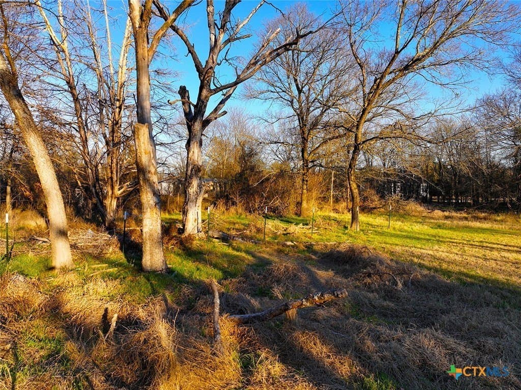 0.34 acres in Navarro County gallery image 2