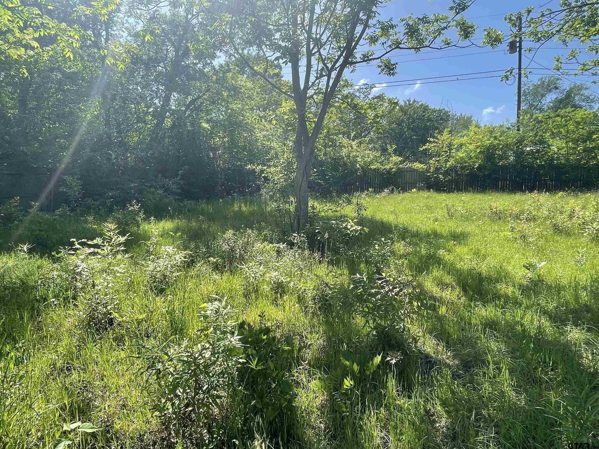 0.47 acres in Henderson County - photo 9
