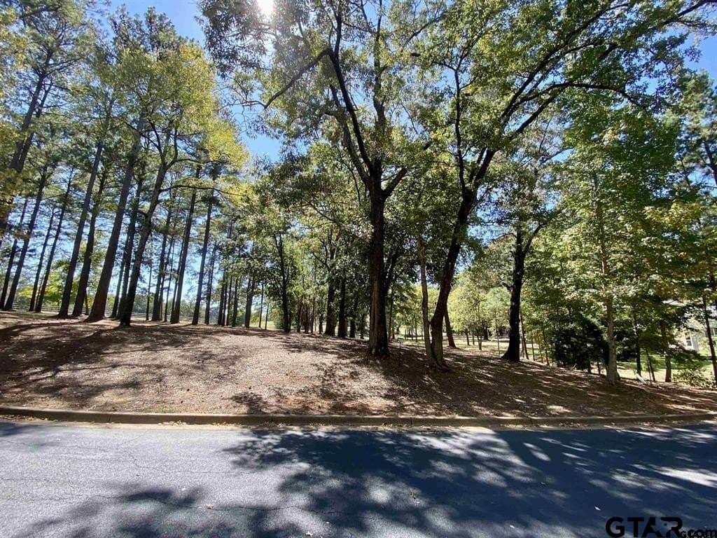 0.49 acres in Anderson County