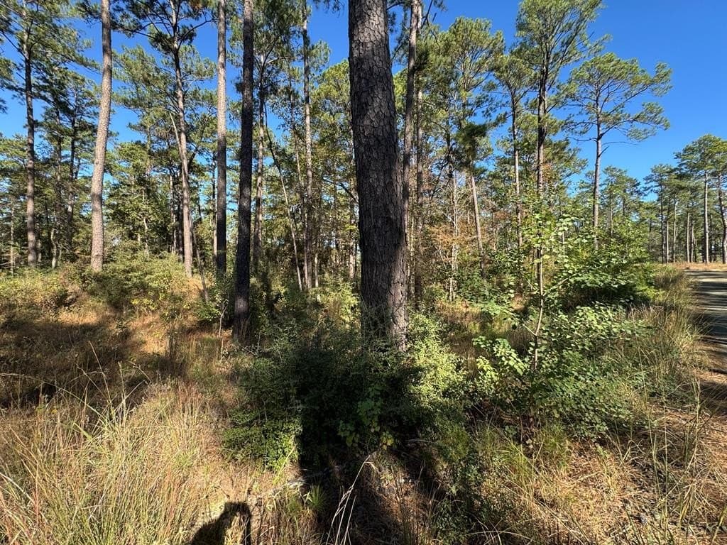 1 acres in Texas County