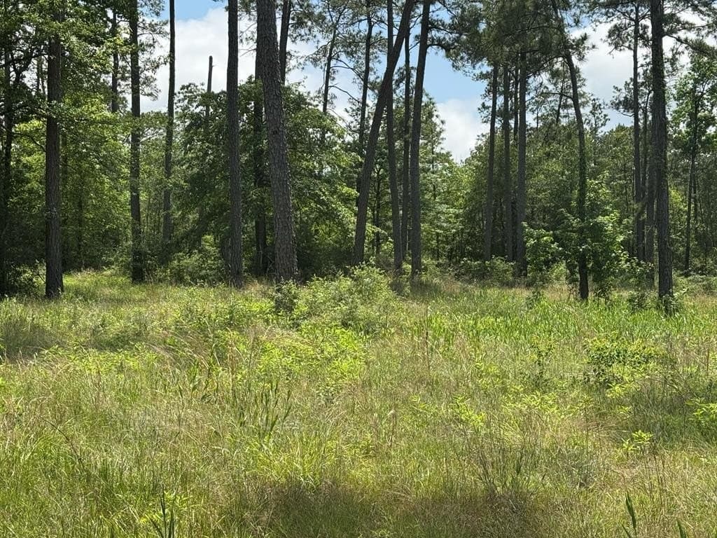 1 acres in Texas County featured view