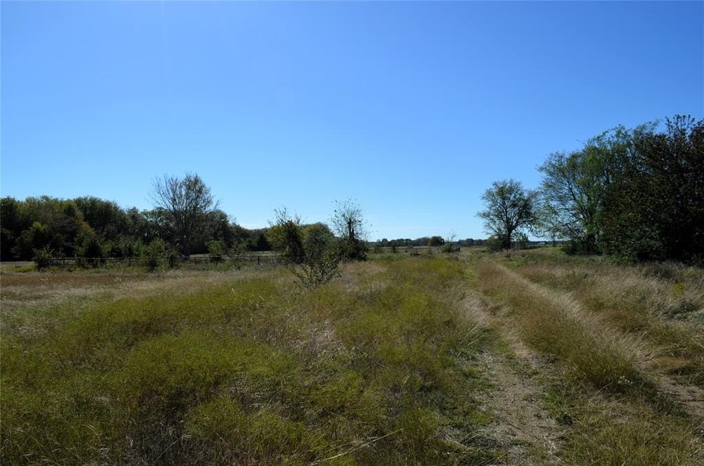 22.01 acres in Van Zandt County gallery image 3