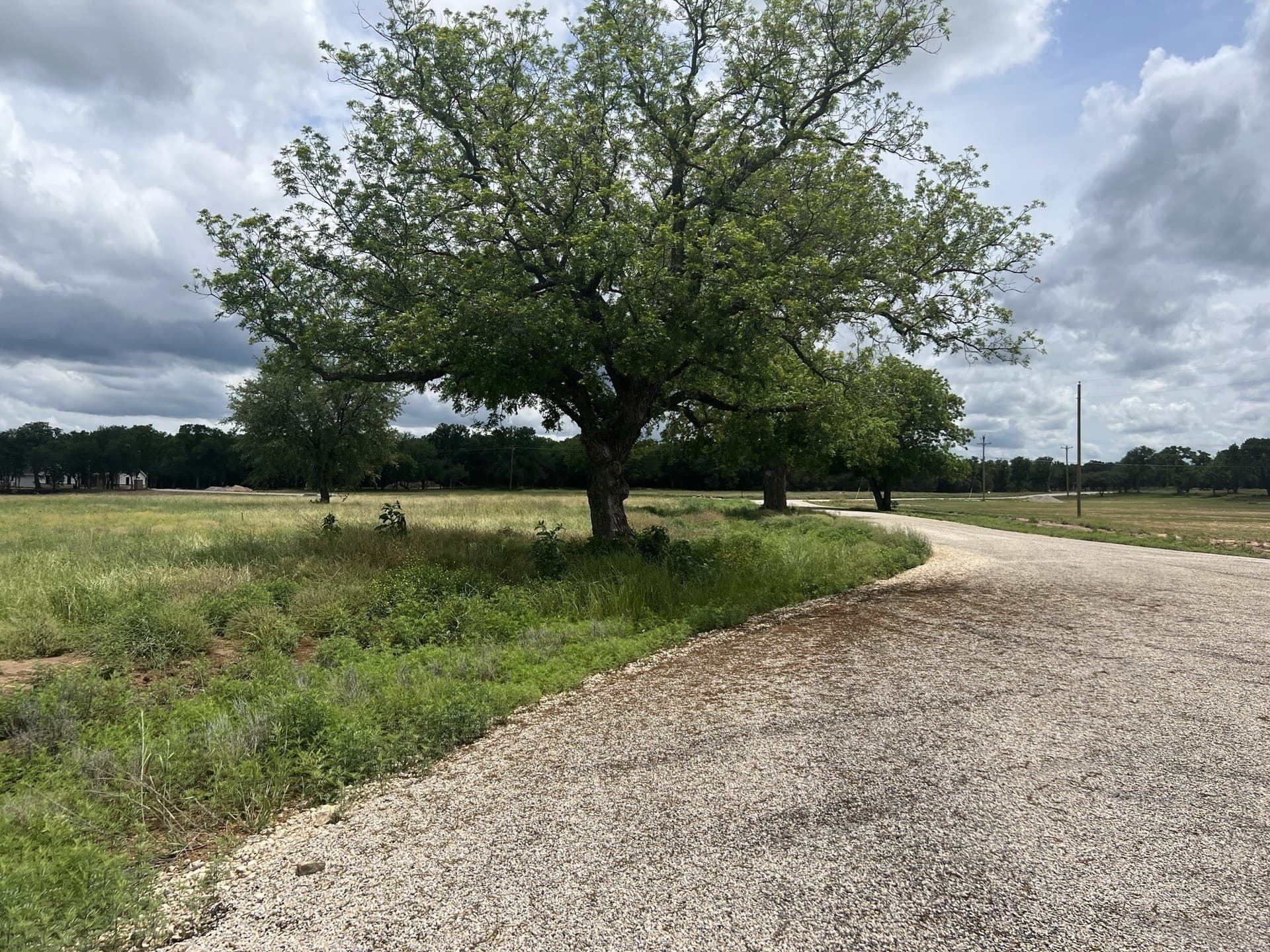 5.05 acres in Palo Pinto County gallery image 4