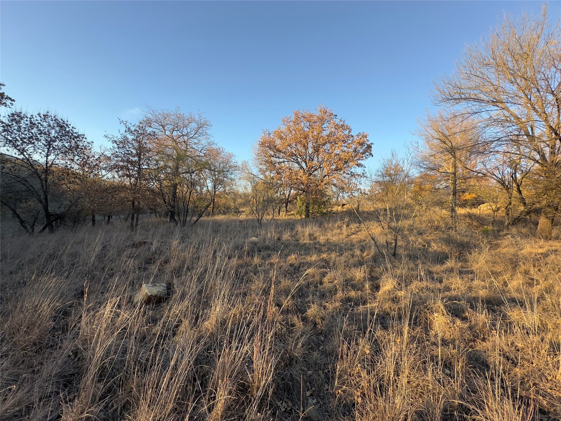 2.02 acres in Wise County - photo 5