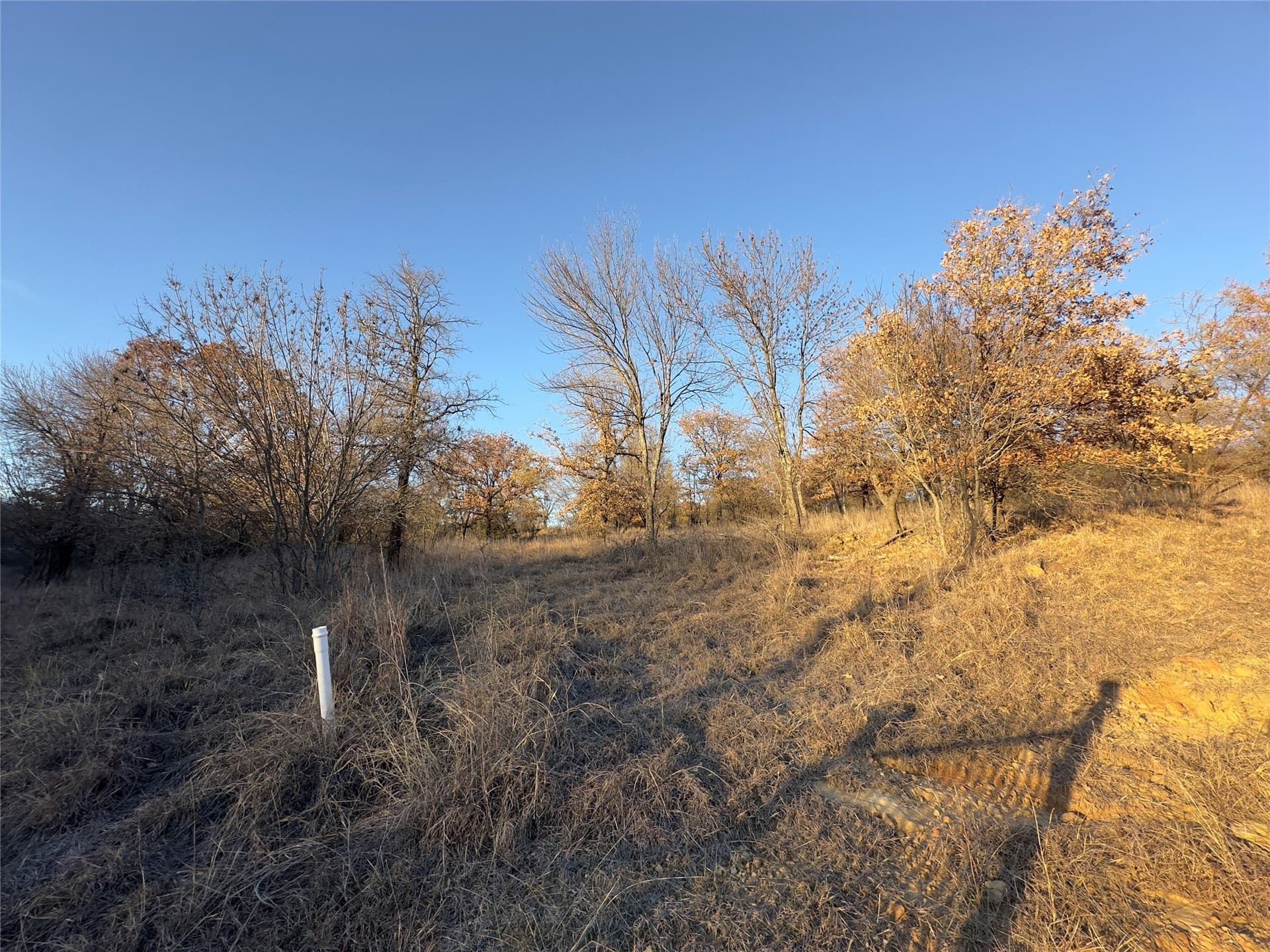 2.02 acres in Wise County - photo 7