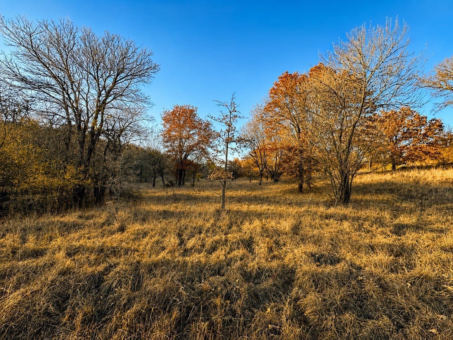 2.02 acres in Wise County - photo 4