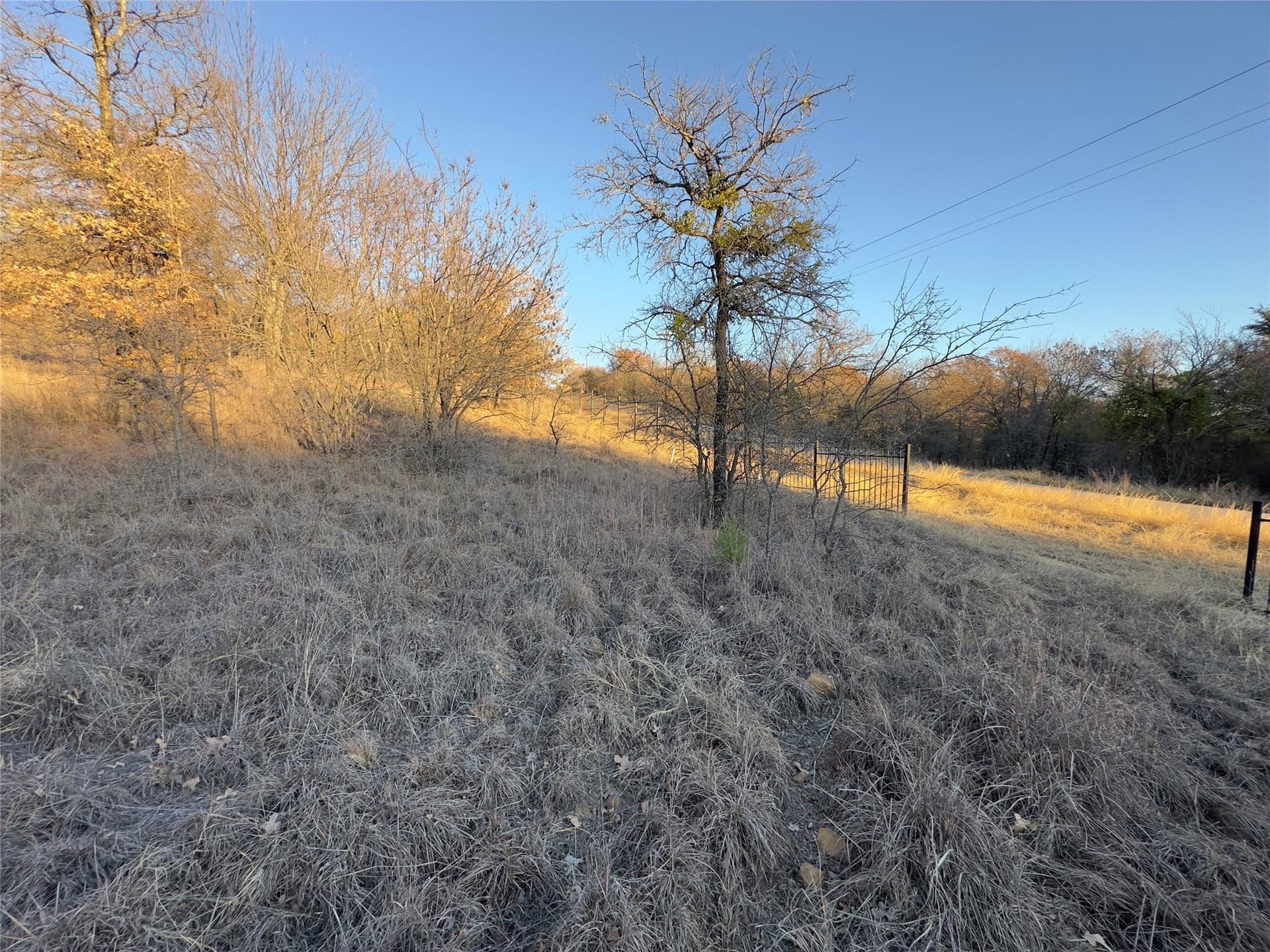 2.02 acres in Wise County - photo 6
