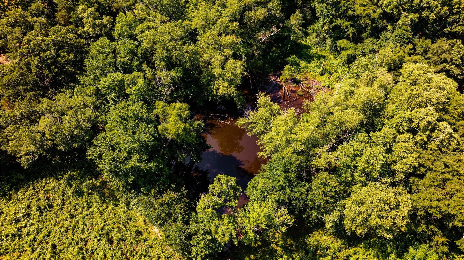 32.48 acres in Anderson County - photo 28