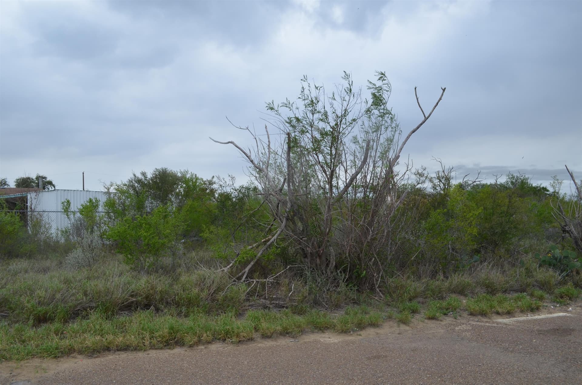 0.11 acres in Zapata County gallery image 3