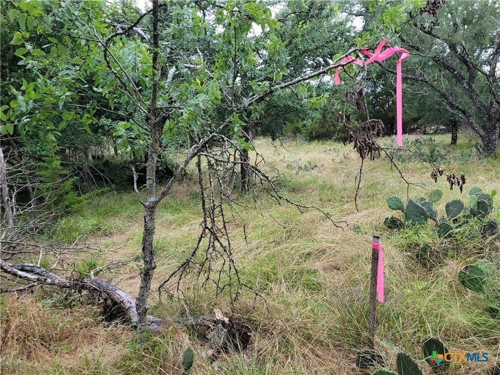 89.11 acres in Lampasas County - photo 15