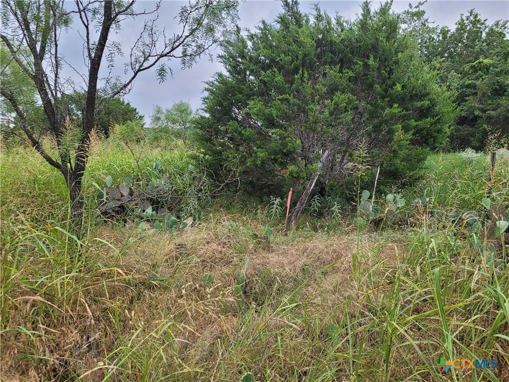 89.11 acres in Lampasas County - photo 16