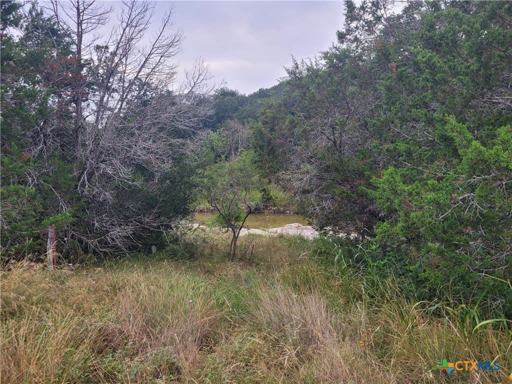 89.11 acres in Lampasas County - photo 32