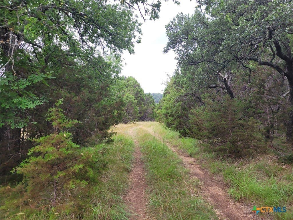 89.11 acres in Lampasas County gallery image 2