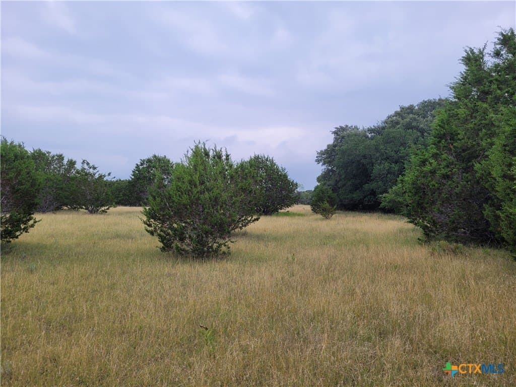 89.11 acres in Lampasas County - photo 23