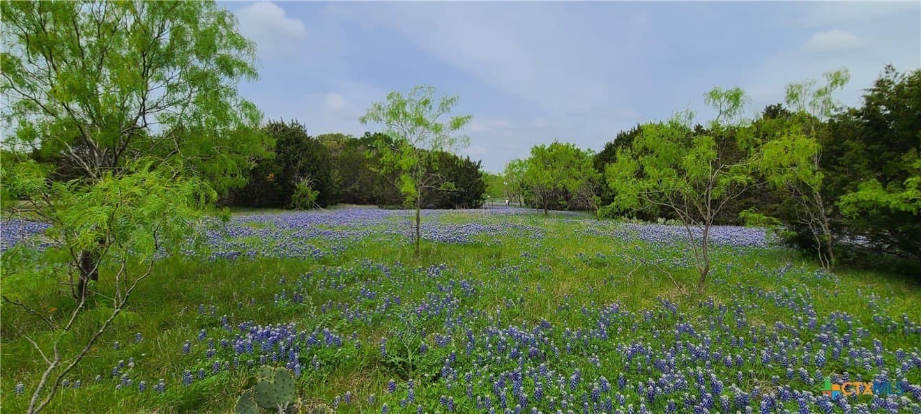 89.11 acres in Lampasas County featured view