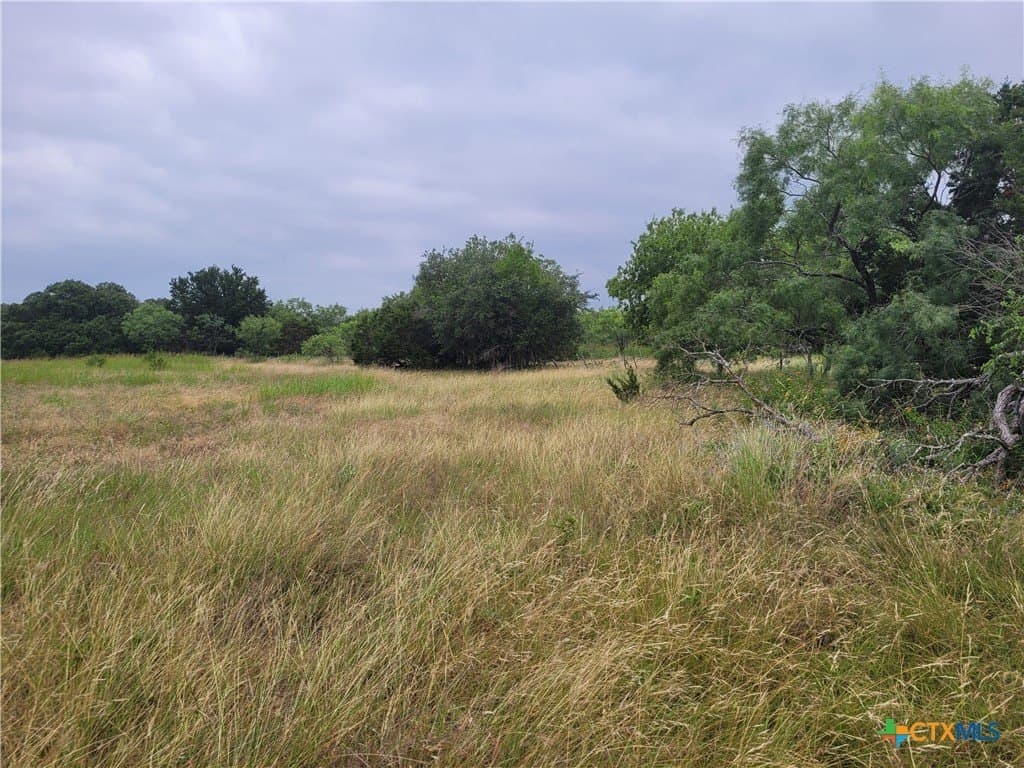 89.11 acres in Lampasas County - photo 12