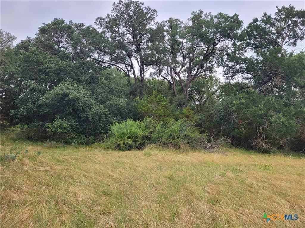 89.11 acres in Lampasas County - photo 22