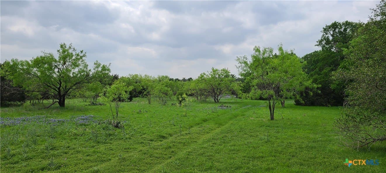 89.11 acres in Lampasas County gallery image 3
