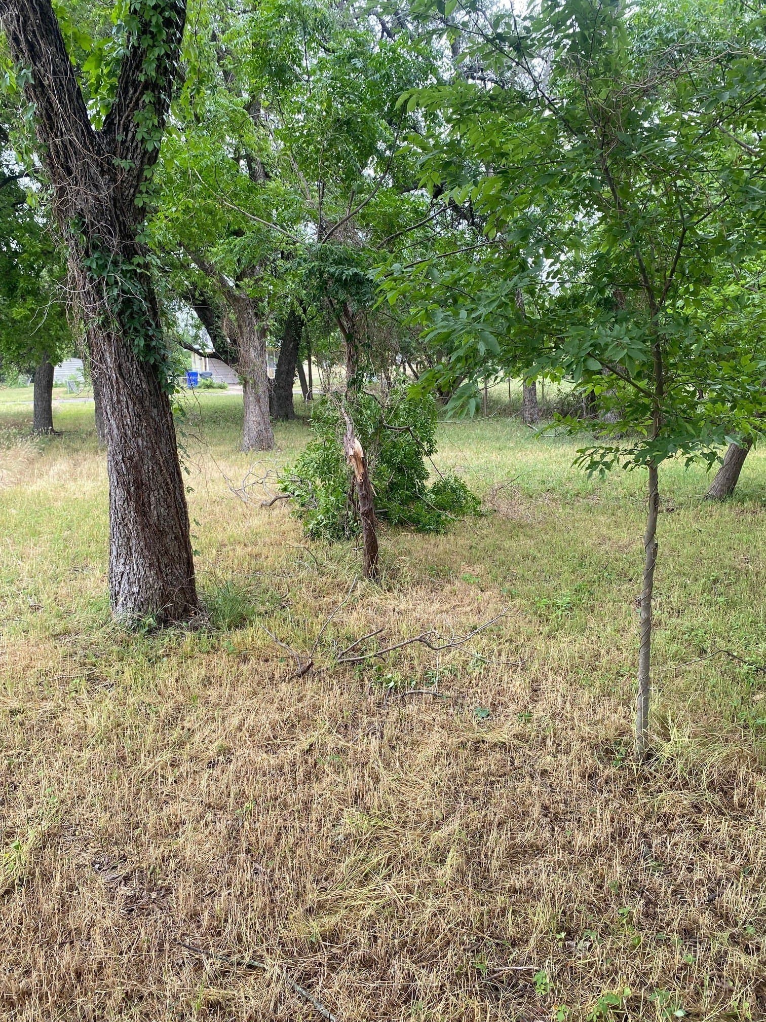 0.16 acres in McLennan County - photo 6