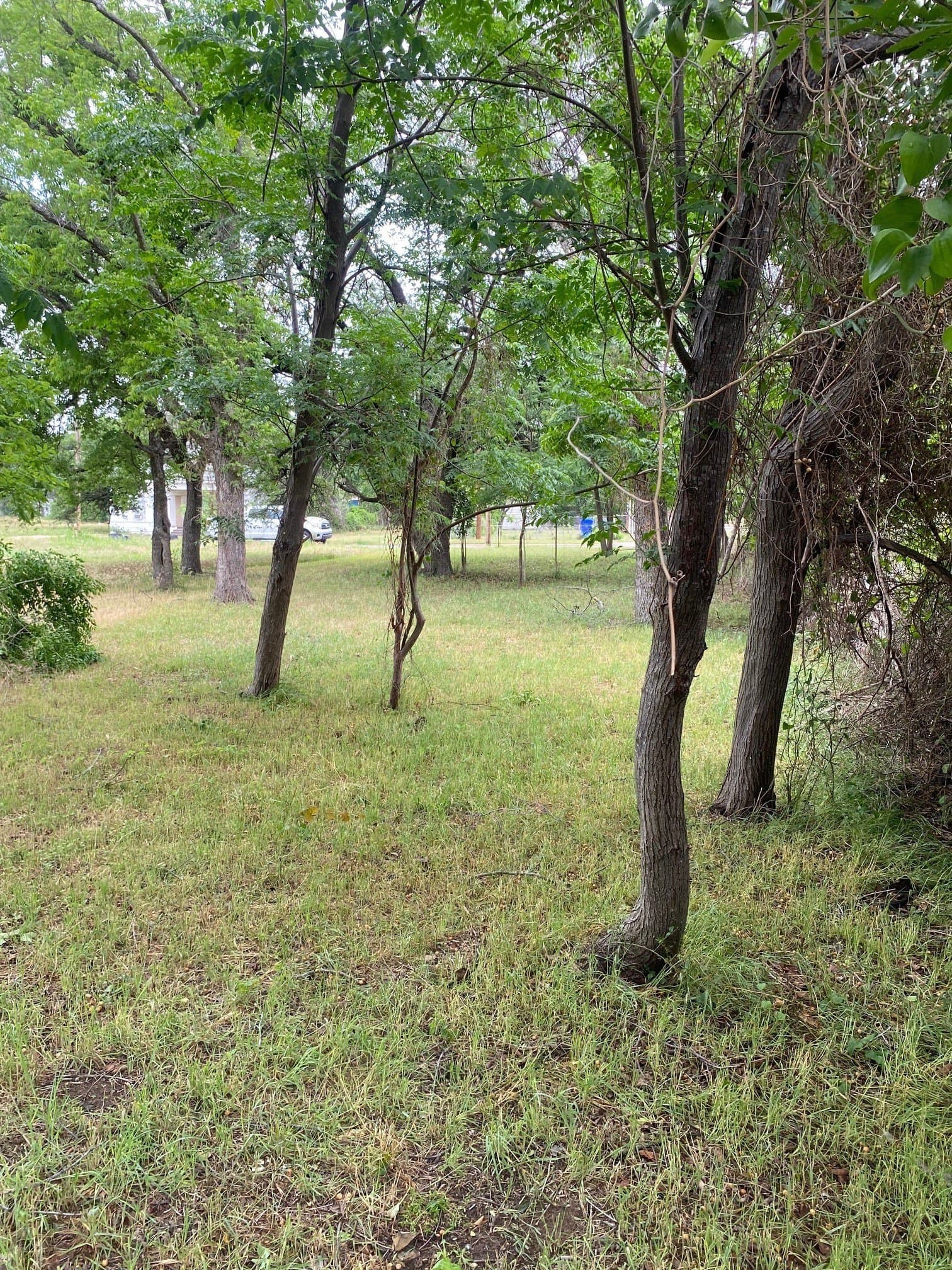 0.16 acres in McLennan County - photo 7