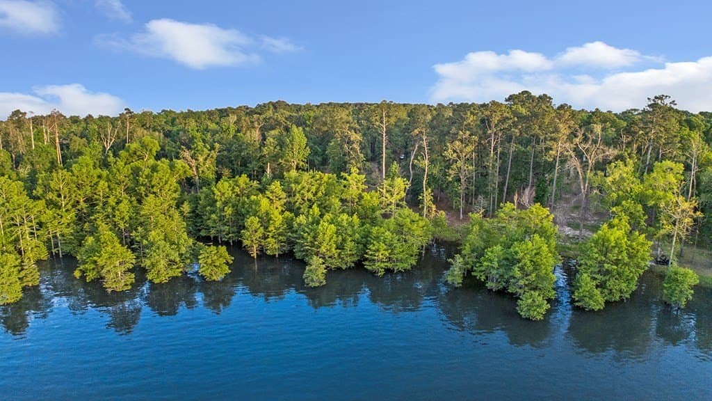 6.1 acres in Texas County featured view