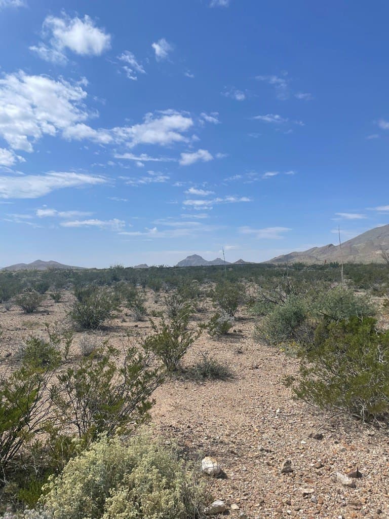 44 acres in Brewster County - photo 5