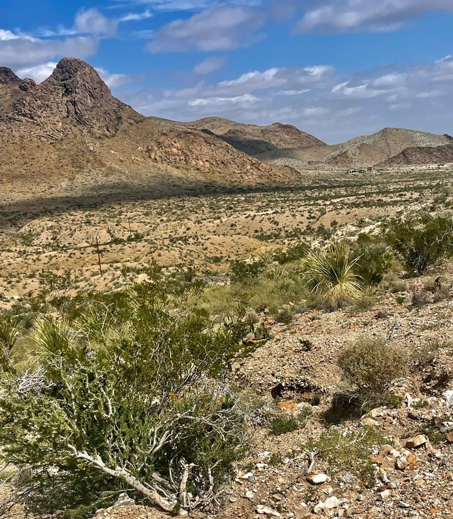 44 acres in Brewster County - photo 2