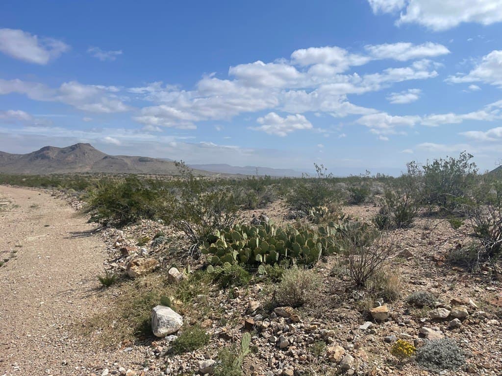 44 acres in Brewster County - photo 6