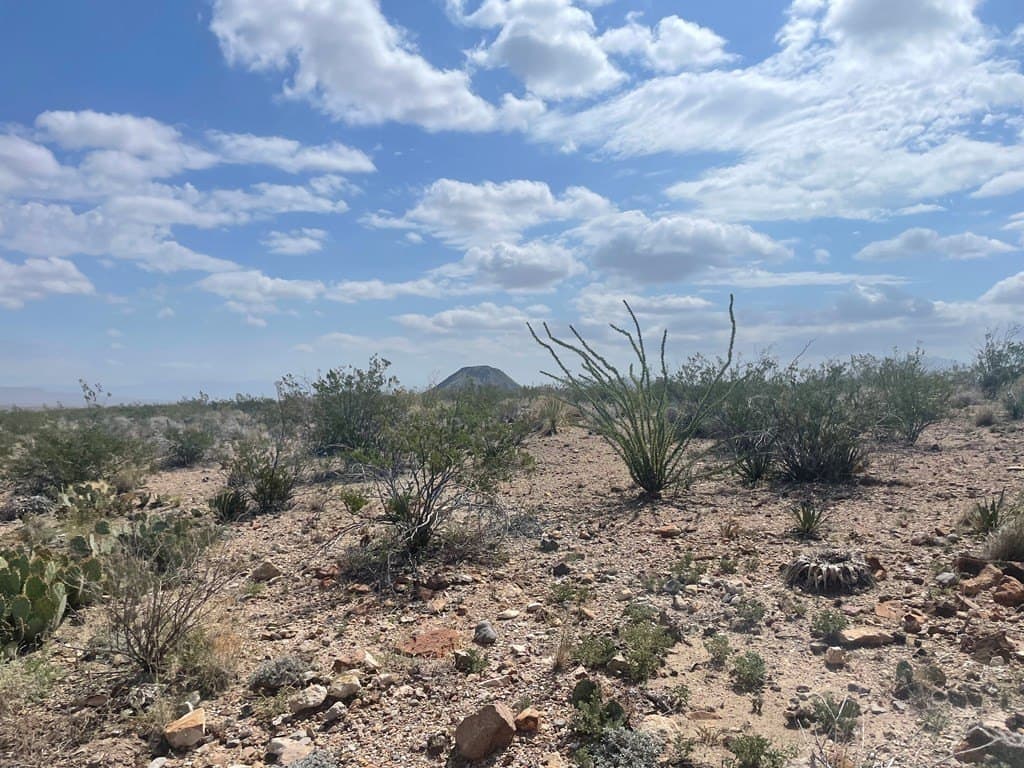 44 acres in Brewster County - photo 3