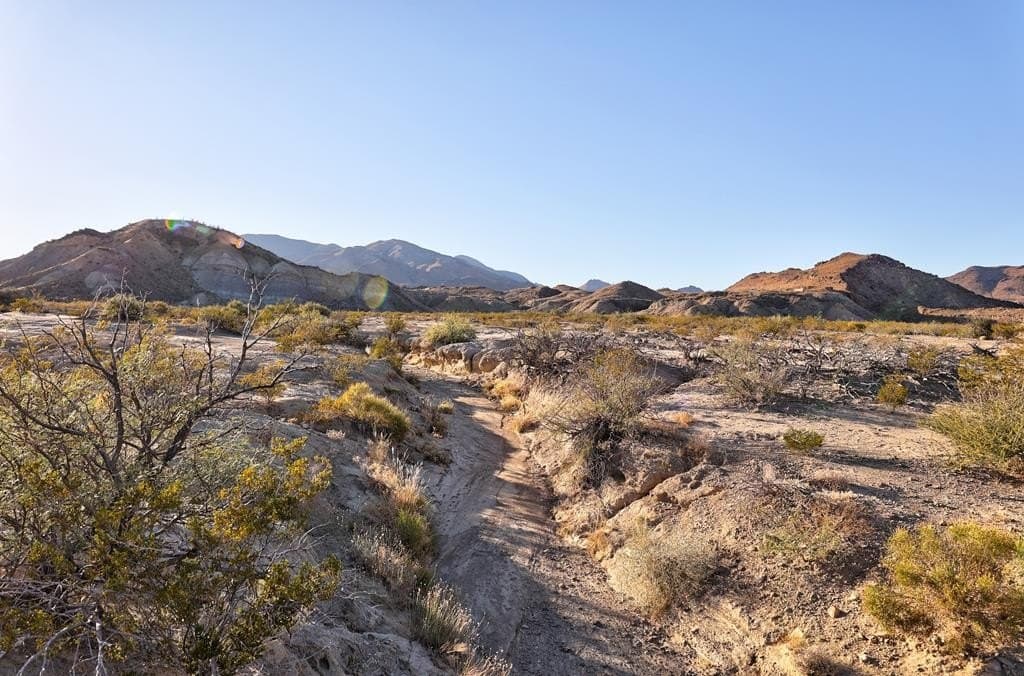 44 acres in Brewster County - photo 22