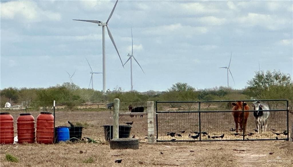 20.14 acres in Hidalgo County gallery image 2