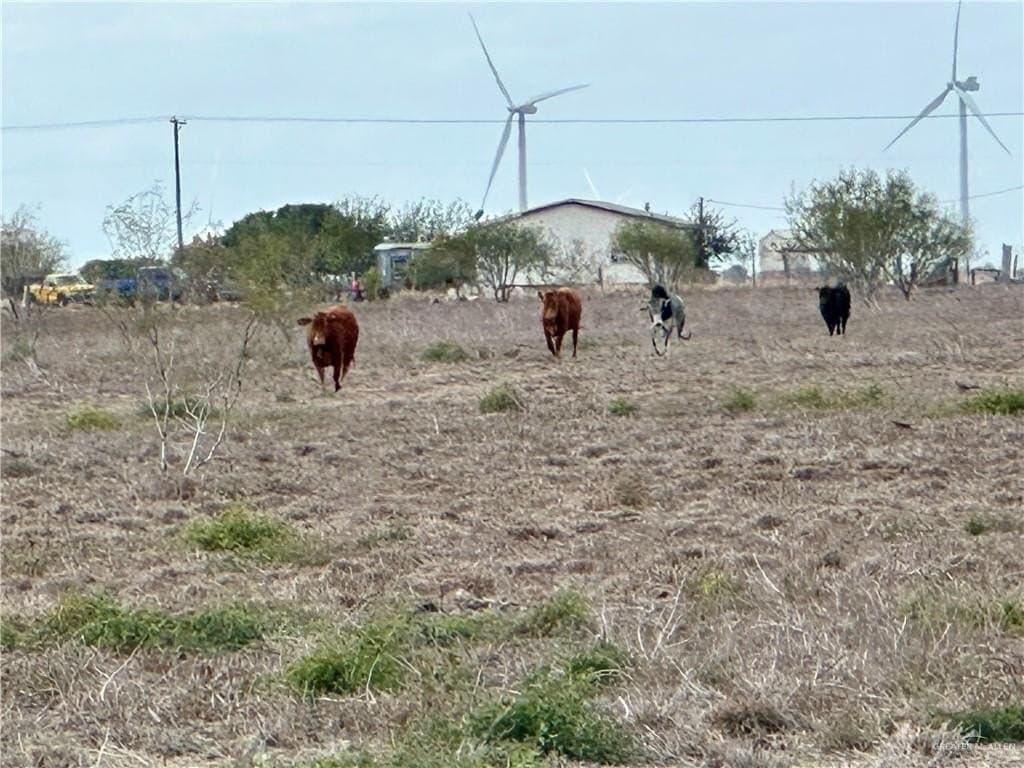 20.14 acres in Hidalgo County - photo 8