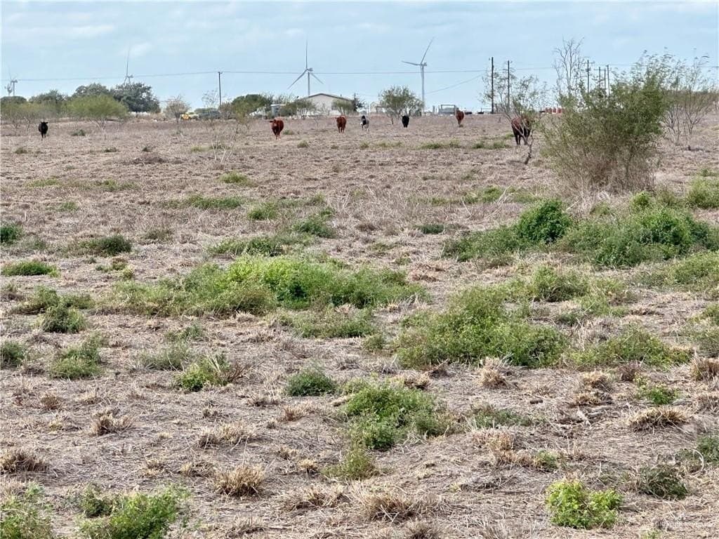 20.14 acres in Hidalgo County - photo 9