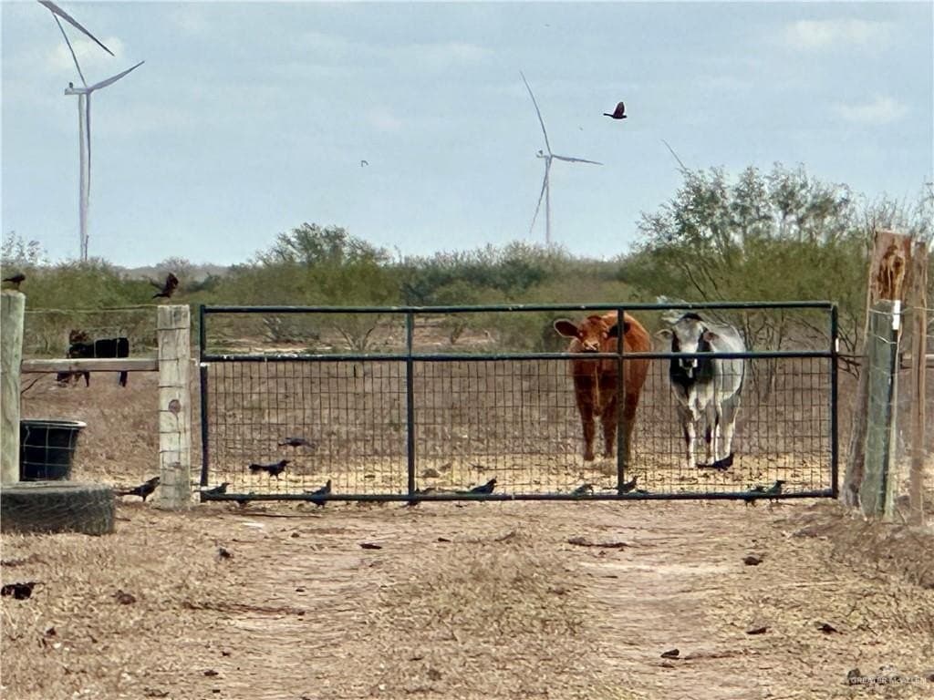 20.14 acres in Hidalgo County gallery image 3