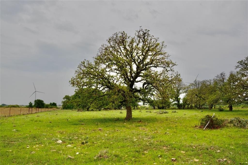 90 acres in Mills County gallery image 2