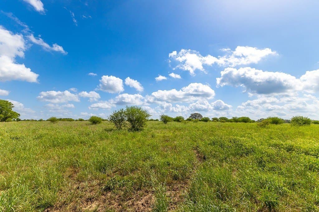 106.07 acres in Colorado County featured view