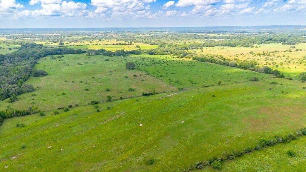 106.07 acres in Colorado County gallery image 3