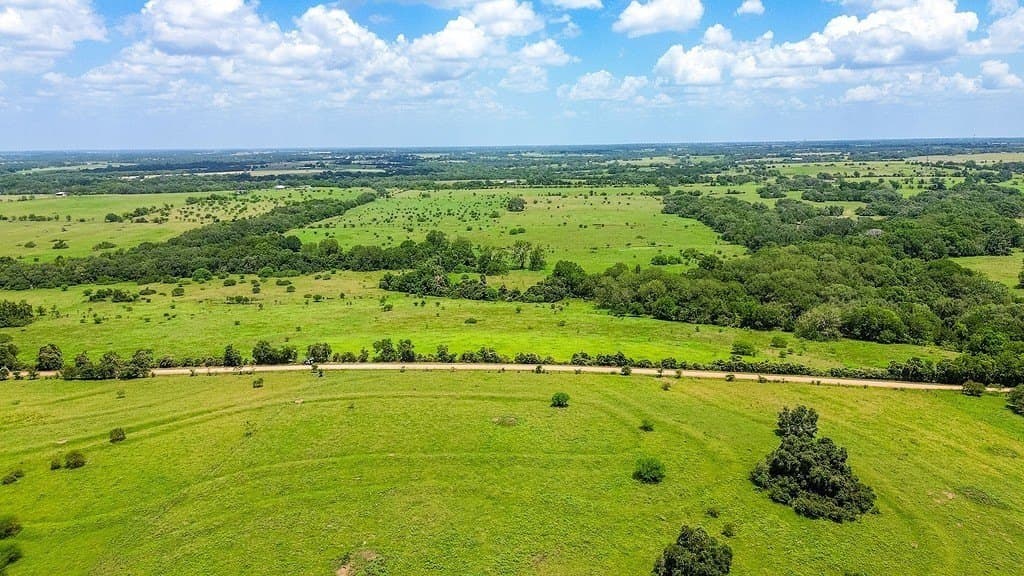106.07 acres in Colorado County gallery image 2