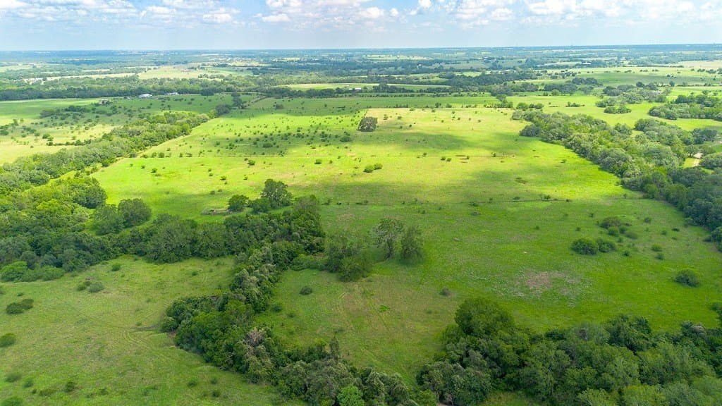 106.07 acres in Colorado County gallery image 4