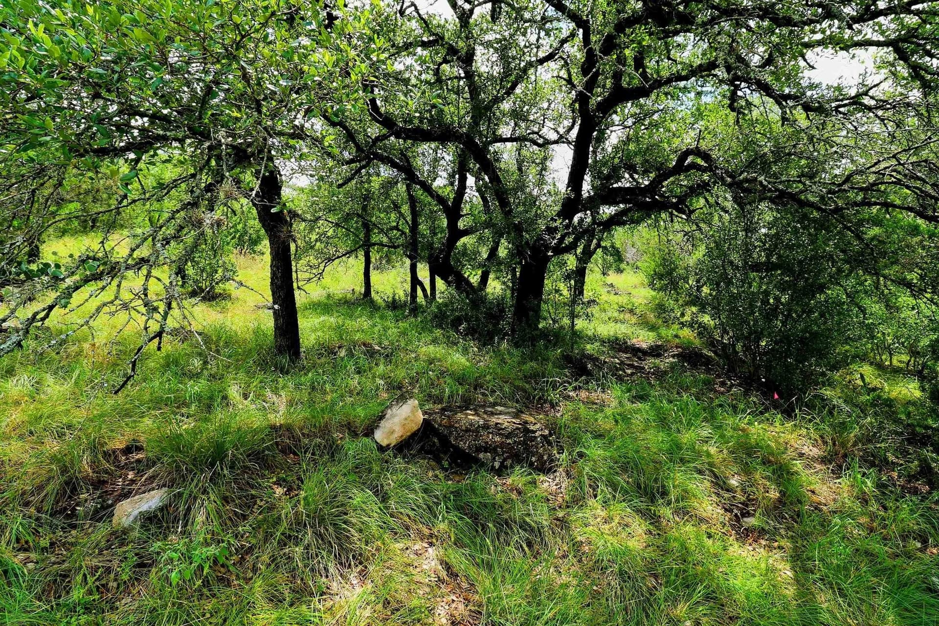 0.21 acres in Llano County - photo 20