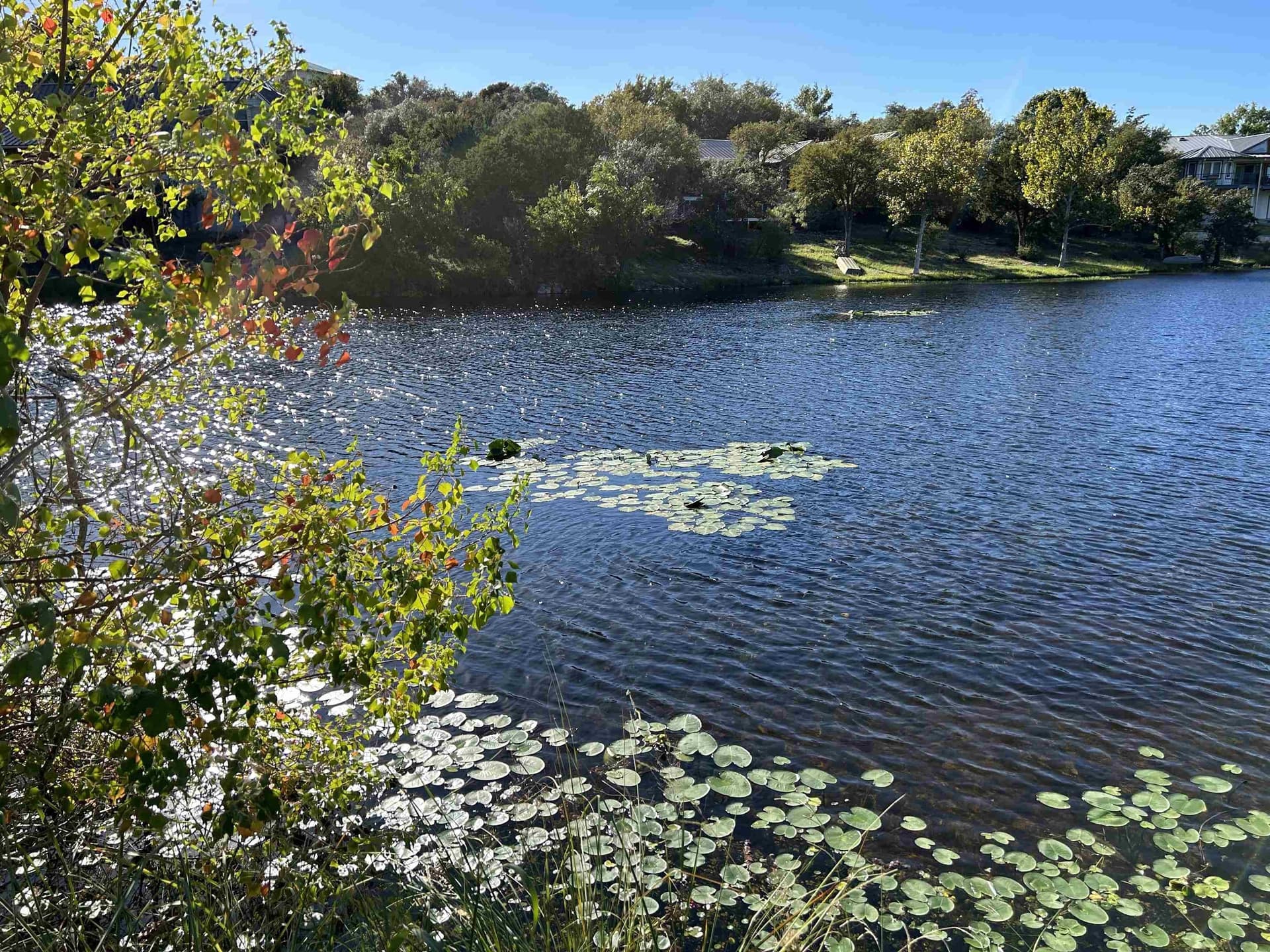 0.21 acres in Llano County gallery image 3