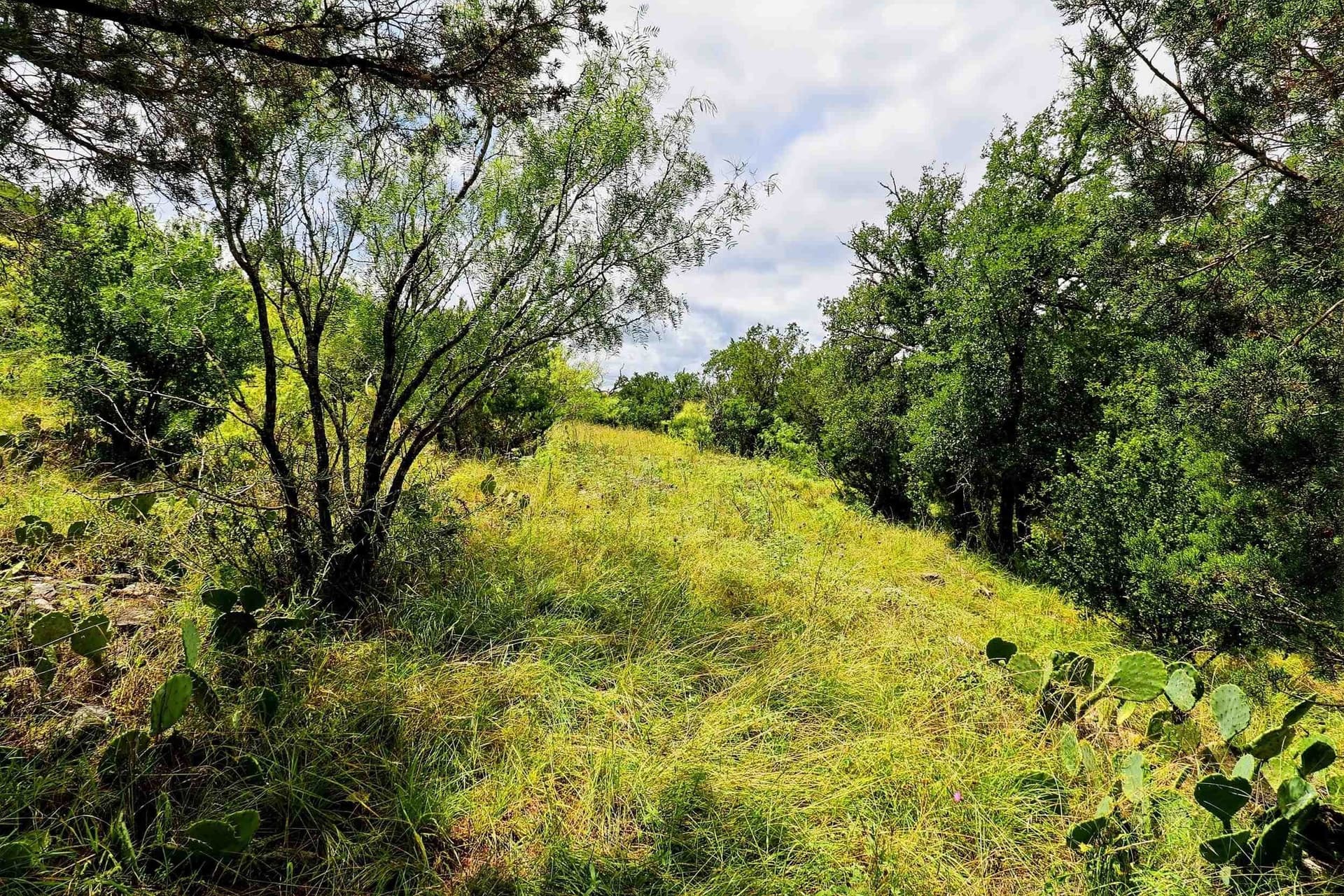 0.21 acres in Llano County - photo 17