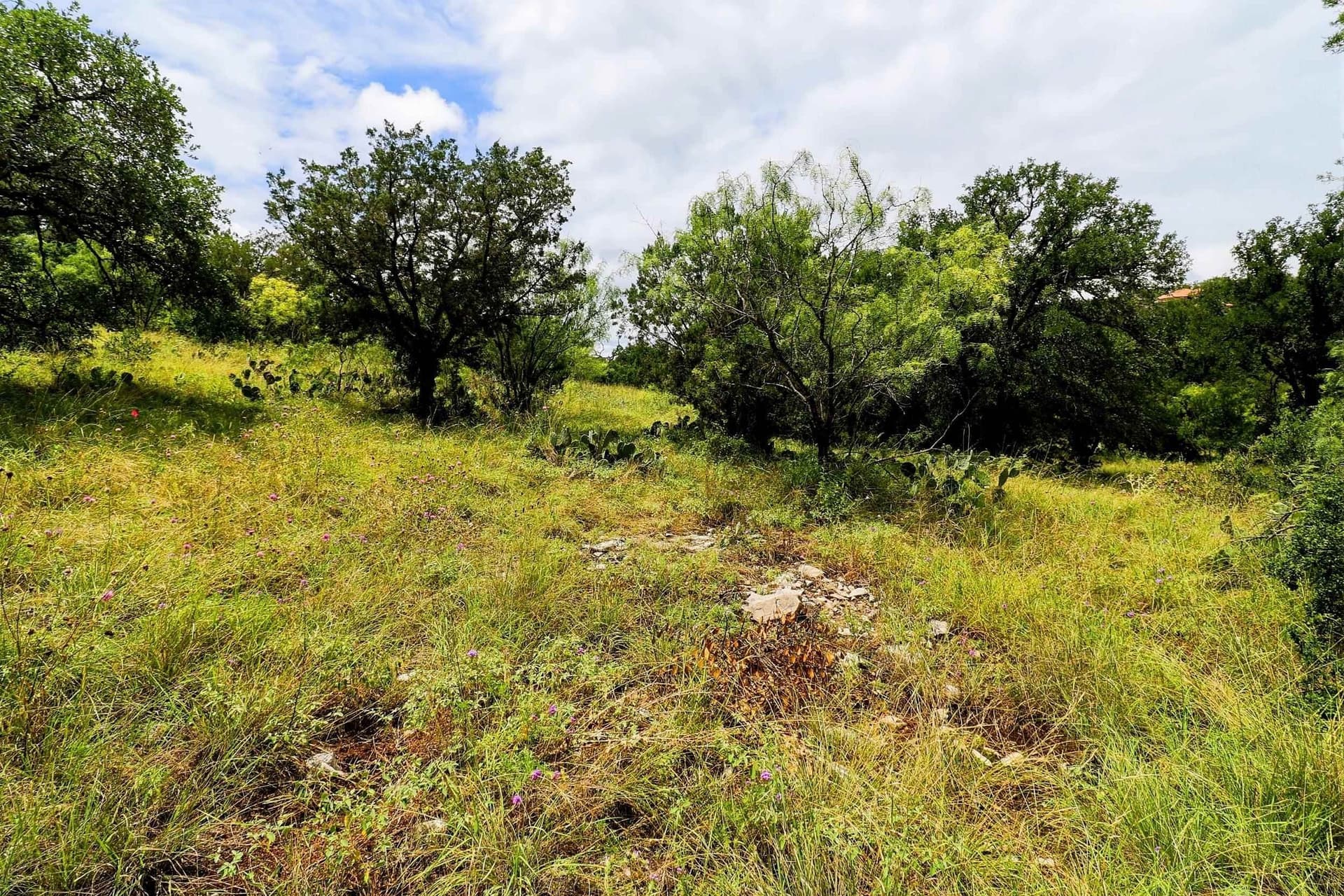 0.21 acres in Llano County - photo 16