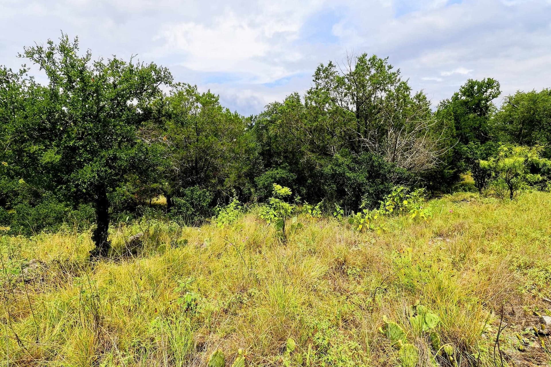 0.21 acres in Llano County - photo 19