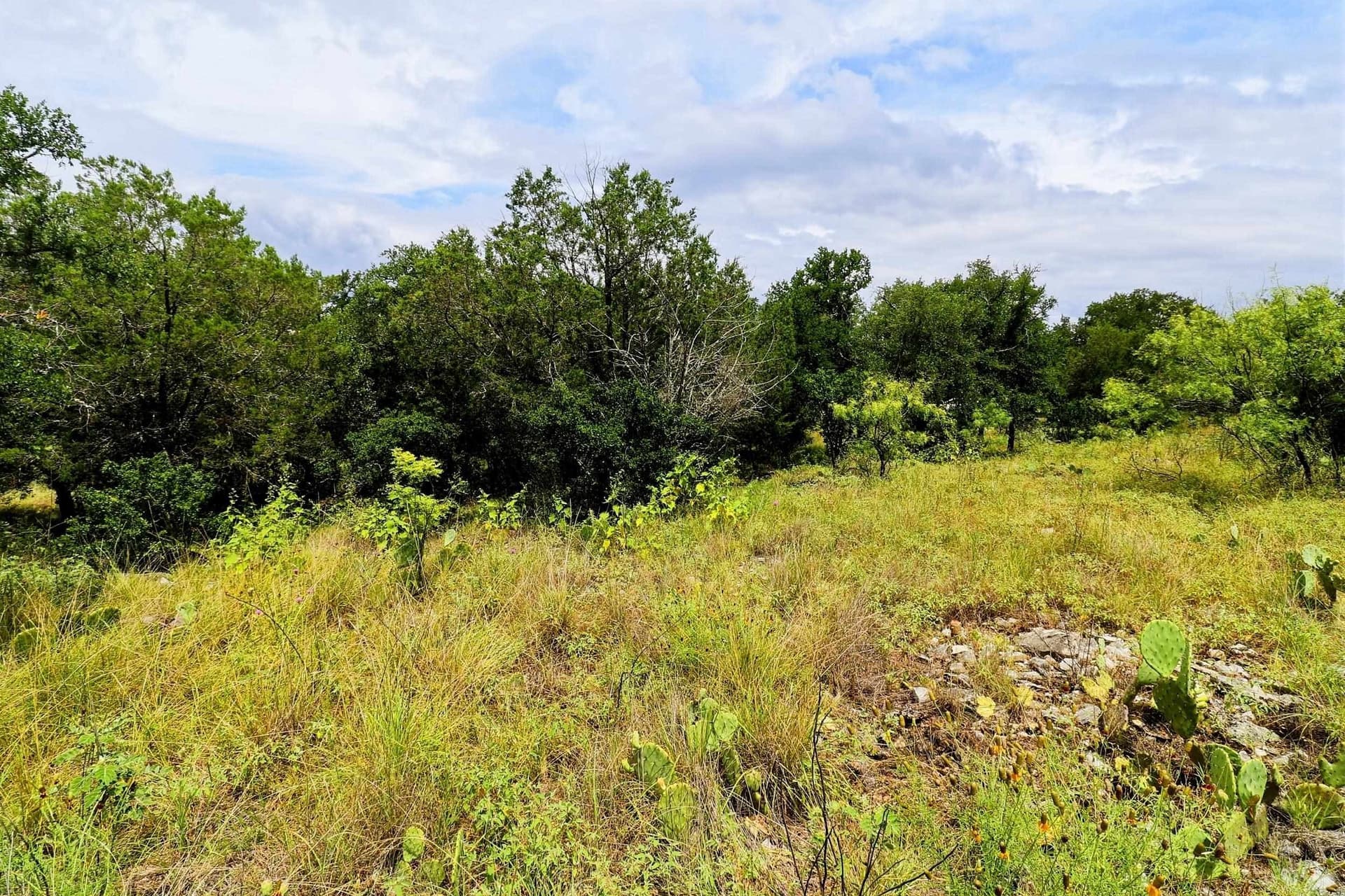 0.21 acres in Llano County - photo 18