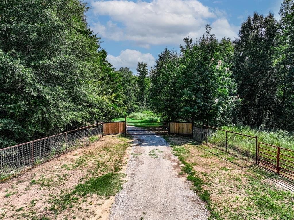 24.68 acres in Hopkins County gallery image 3