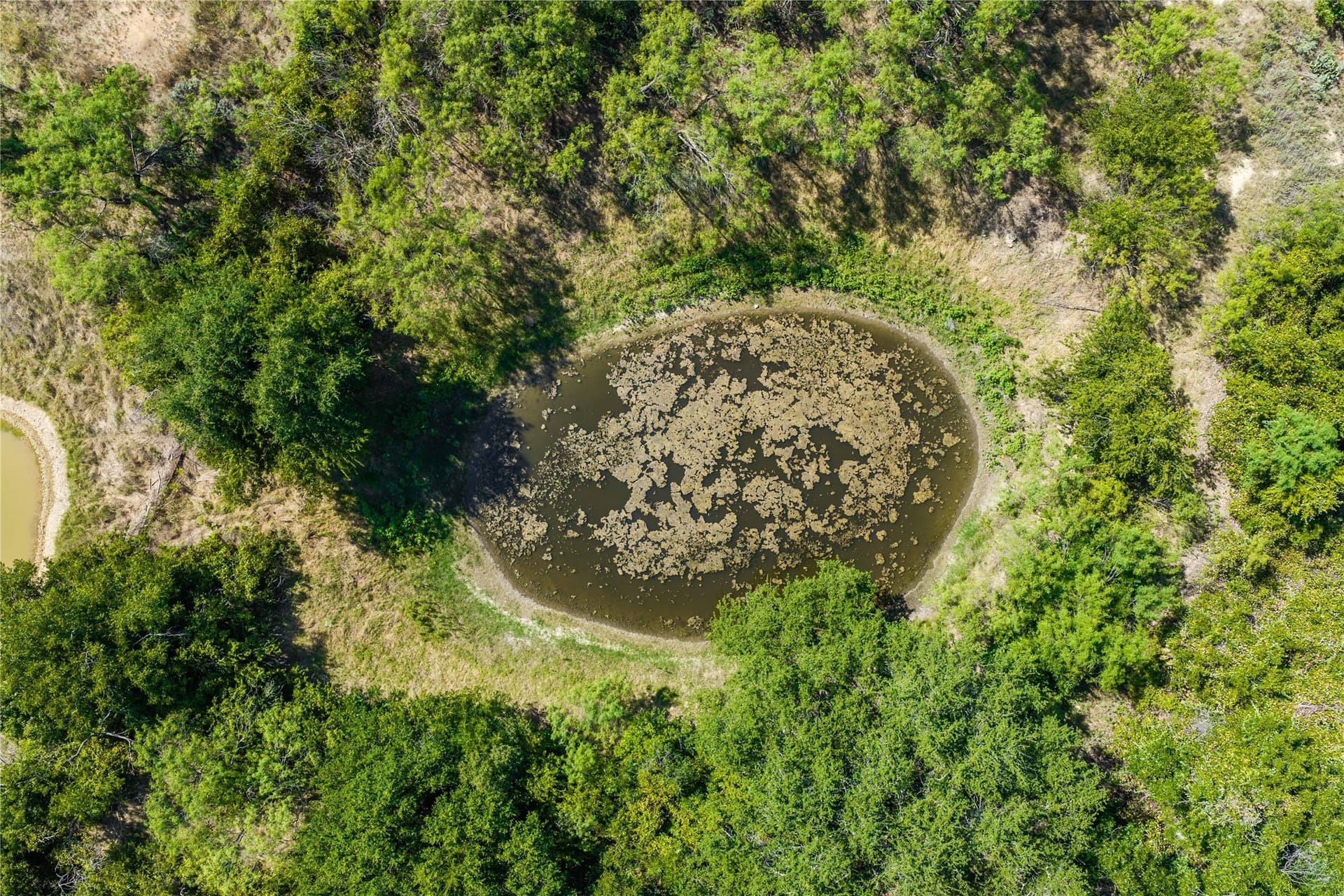 20 acres in Brown County - photo 26