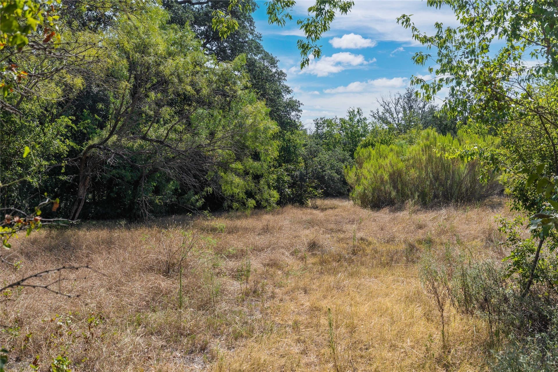 20 acres in Brown County - photo 39