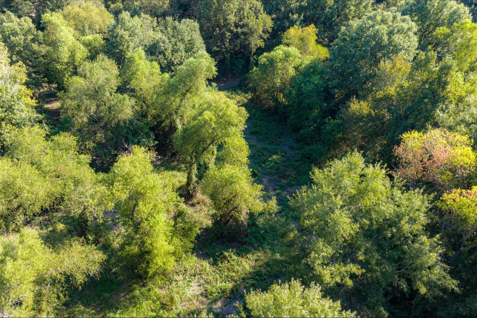 115.89 acres in Henderson County - photo 28