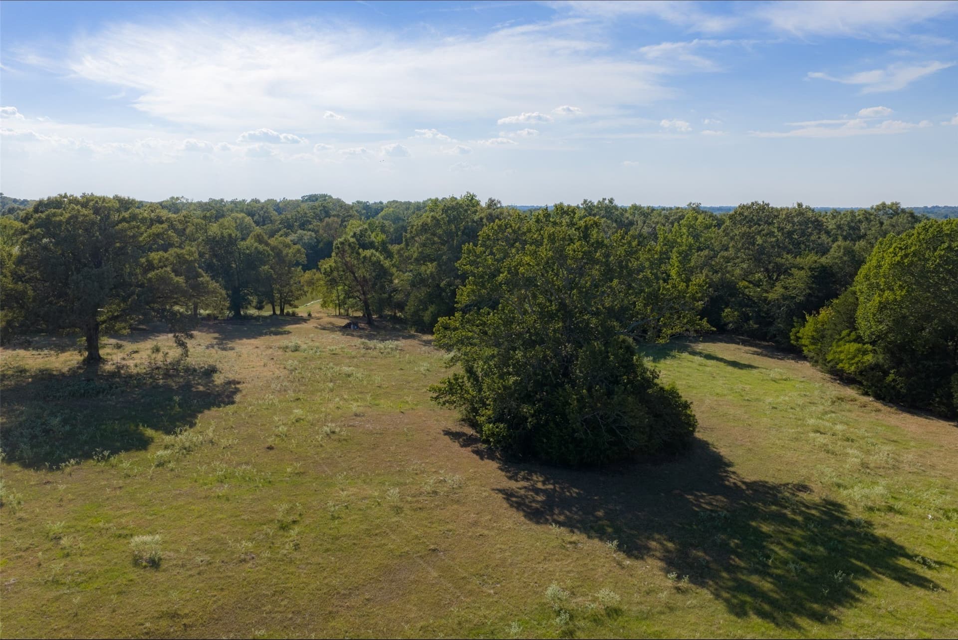 115.89 acres in Henderson County - photo 5